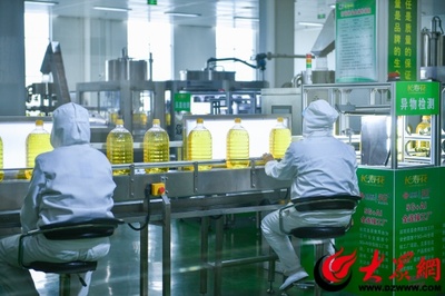 長壽花食品股份 以科技創(chuàng)新驅(qū)動企業(yè)發(fā)展與技術(shù)推廣