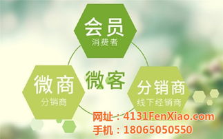 龍海制造，網加賦能 技術推廣如何驅動工廠網絡營銷新篇章